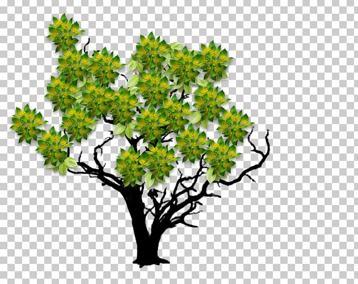 Woody Plant Tree Twig Leaf PNG, Clipart, Blossom Tree, Branch, Branching, Death, Flower Free PNG Download