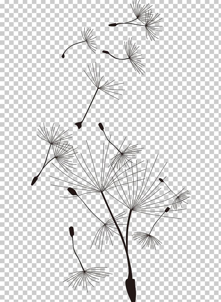 Common Dandelion T-shirt Cartoon PNG, Clipart, Black, Black And White, Branch, Flower, Flowers Free PNG Download