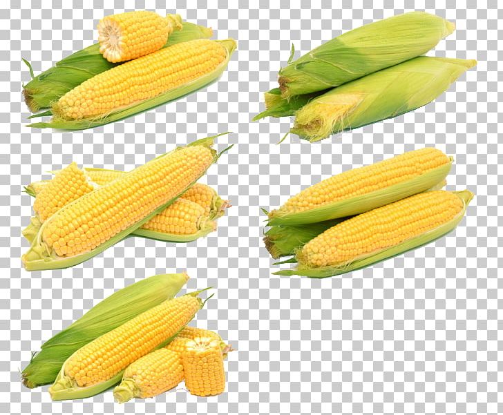 Corn On The Cob Maize Sweet Corn Corn Kernel Ear PNG, Clipart, Cartoon Corn, Commodity, Corn, Corn Cartoon, Corncob Free PNG Download