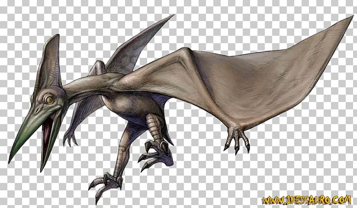 Dino Crisis 2 Pteranodon Dinosaur Game Triceratops PNG, Clipart,  Free PNG Download