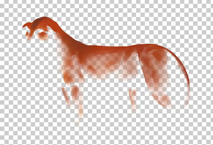 Dog Mustang Neck Mane Snout PNG, Clipart, 2019 Ford Mustang, Animals, Carnivoran, Dog, Dog Like Mammal Free PNG Download