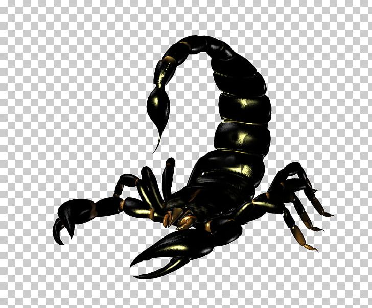 Emperor Scorpion PNG, Clipart, Arthropod, Best, Desktop Wallpaper, Digital Image, Drawing Free PNG Download