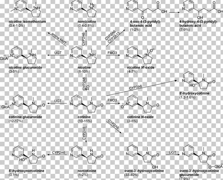 Nornicotine Tobacco Wikipedia Cotinine PNG, Clipart, Adrenaline, Amine Oxide, Angle, Area, Auto Part Free PNG Download