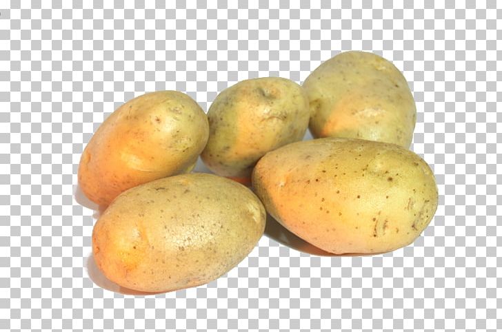 Russet Burbank Potato Yukon Gold Potato Tuber STX EUA 800 F.SV.PR USD Fruit PNG, Clipart, Food, Fruit, Others, Potato, Potato And Tomato Genus Free PNG Download