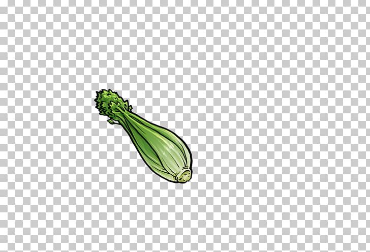 Celery Vegetable ICO Icon PNG, Clipart, Apple Icon Image Format, Arrow Sketch, Auglis, Border Sketch, Cabbage Free PNG Download