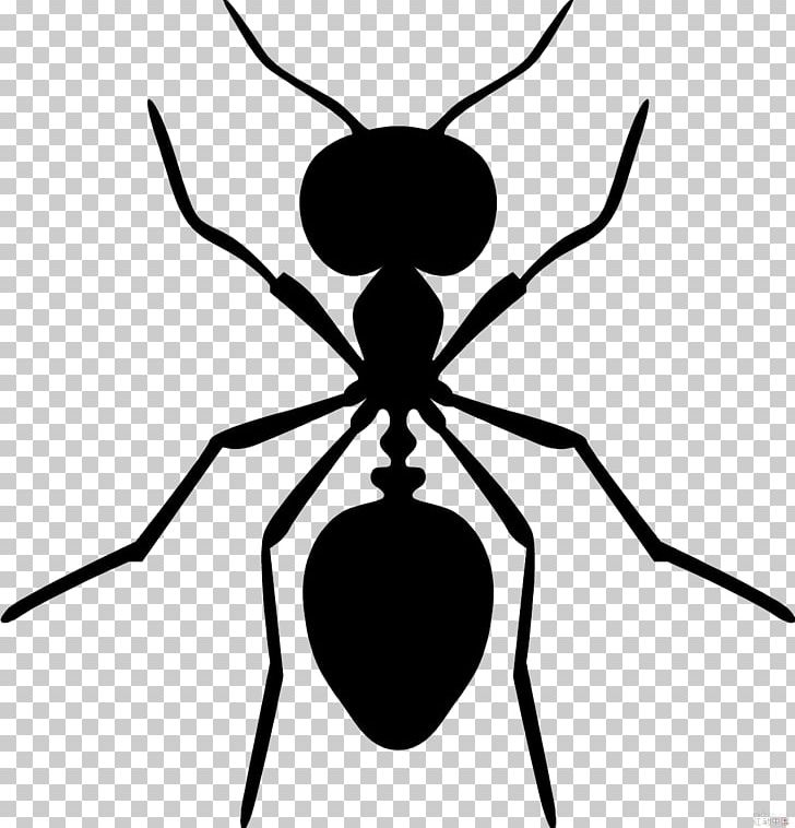 Everybody Sees The Ants Black Carpenter Ant Black Garden Ant Pest Control PNG, Clipart, Animal, Ant, Ants, Ants Vector, Arthropod Free PNG Download