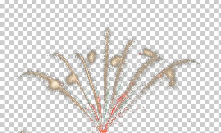 Feather PNG, Clipart, Cartoon Fireworks, Feather, Festival, Firework, Fireworks Free PNG Download