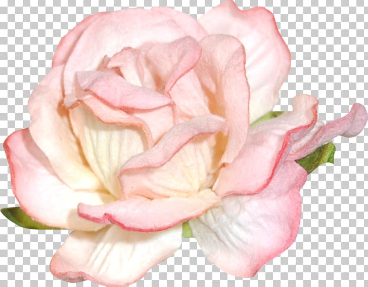 Garden Roses Blog Floral Design PNG, Clipart, Art, Art Blog, Blog, Centerblog, Clip Art Free PNG Download