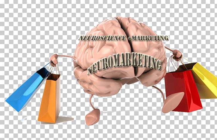 Neuromarketing Neuroscience Brain Color Psychology PNG, Clipart, Antonio Damasio, Brain, Color Psychology, Consumer, Digital Marketing Free PNG Download