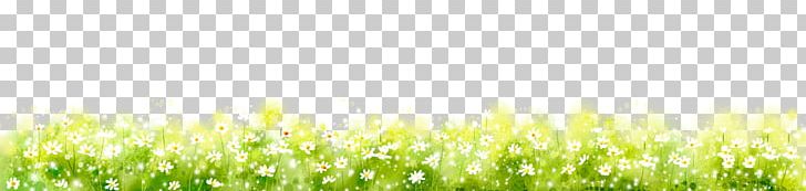 Photography Illustration PNG, Clipart, Border, Border Texture, Computer Wallpaper, Crop, Encapsulated Postscript Free PNG Download