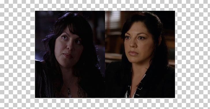 Sara Ramirez Ellen DeGeneres Grey's Anatomy PNG, Clipart,  Free PNG Download