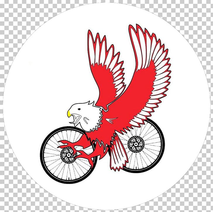 Polisportiva Quiliano Bicycle Wheels Sports Team PNG, Clipart, Beak, Bicycle, Bicycle Wheel, Bicycle Wheels, Bird Free PNG Download