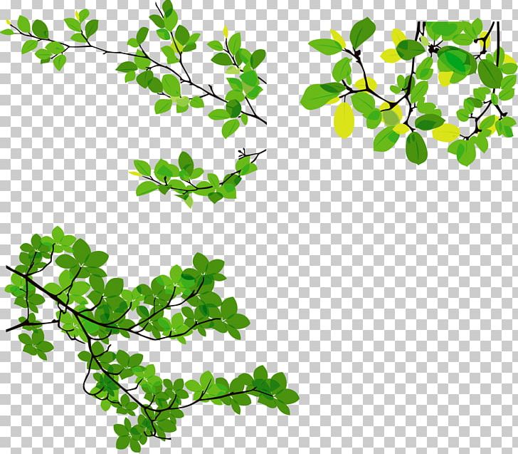 Cdr Leaf Branch PNG, Clipart, Art, Branch, Cdr, Download, Encapsulated Postscript Free PNG Download