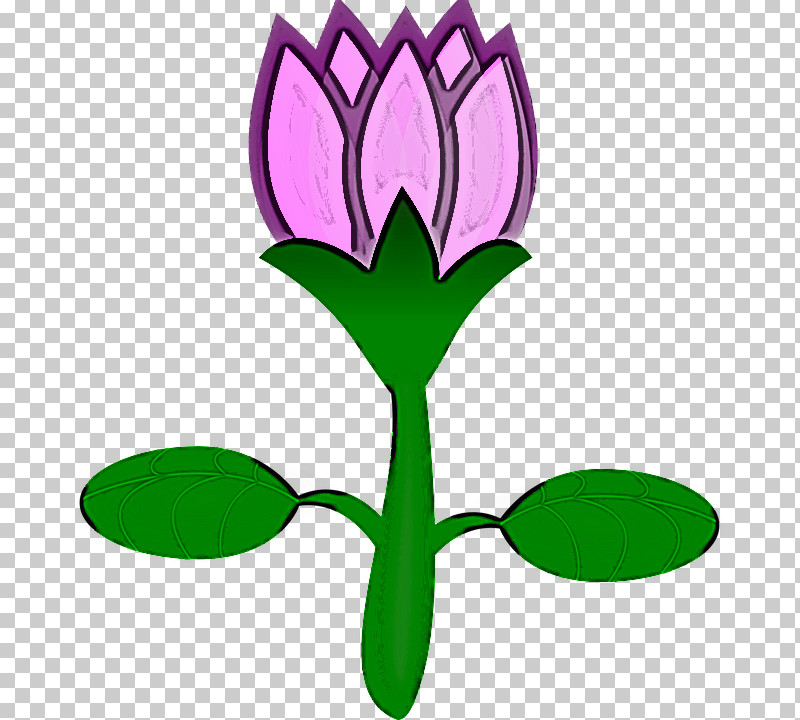 Green Leaf Plant Flower Tulip PNG, Clipart, Flower, Green, Leaf, Petal, Plant Free PNG Download
