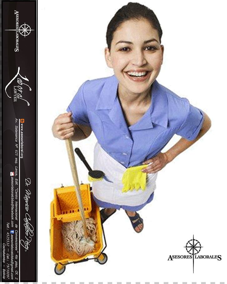Maid Service Cleaner Cleaning Housekeeping PNG, Clipart, Business, Cleaner, Cleaning, Commercial Cleaning, Domestic Worker Free PNG Download