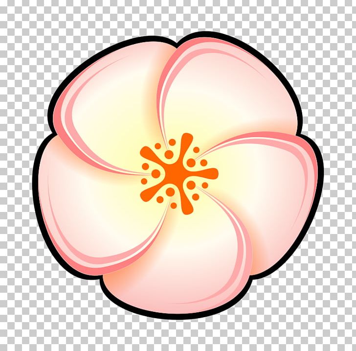 Peach Flower PNG, Clipart, Art, Circle, Color, Drawing, Flower Free PNG Download