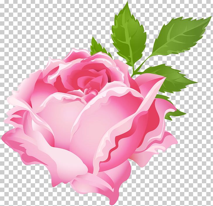 Rose Purple PNG, Clipart, Animation, Clipart, Clip Art, Color, Cut Flowers Free PNG Download