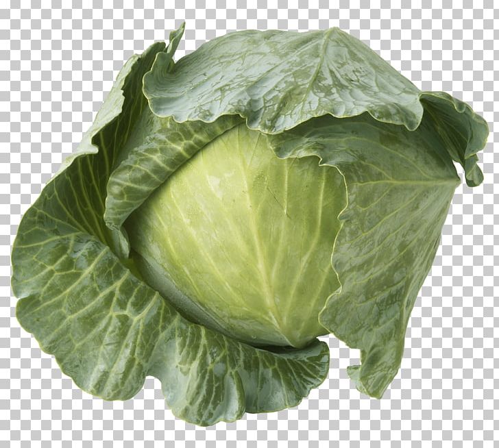 Savoy Cabbage Red Cabbage Cauliflower Brussels Sprout PNG, Clipart, Brassica Oleracea, Brussels Sprout, Cabbage, Cabbage Family, Cauliflower Free PNG Download