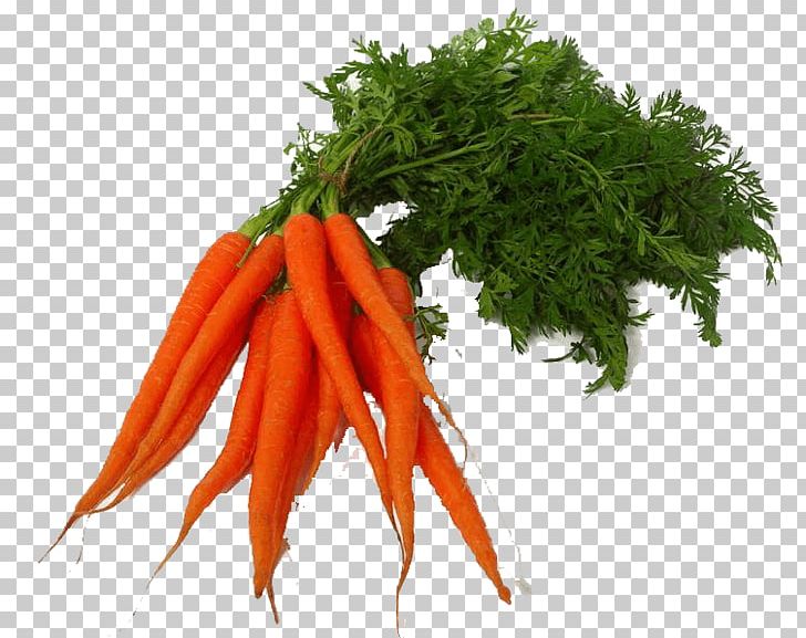 Vegetable Carrot Lettuce PNG, Clipart, Baby Carrot, Broccoli, Carrot, Cauliflower, Computer Icons Free PNG Download