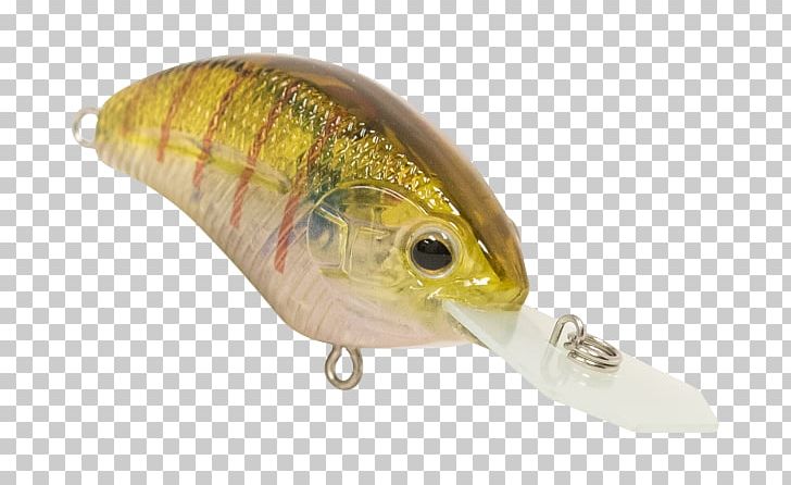 Spoon Lure Oily Fish Perch AC Power Plugs And Sockets PNG, Clipart, Ac Power Plugs And Sockets, Bait, Fish, Fishing Bait, Fishing Lure Free PNG Download