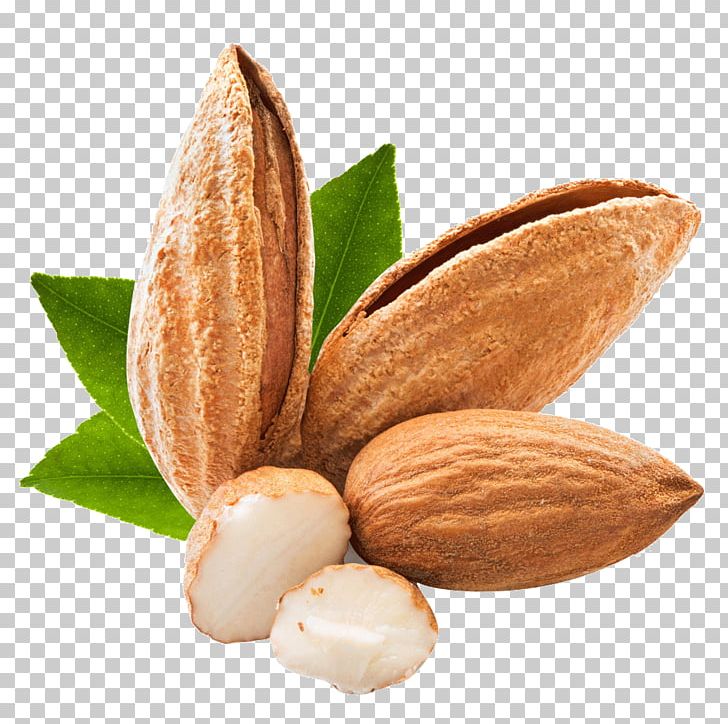 Coffee Almond Apricot Kernel Nut PNG, Clipart, Almond Milk, Almond Nut, Almond Nuts, Almond Pudding, Almonds Free PNG Download