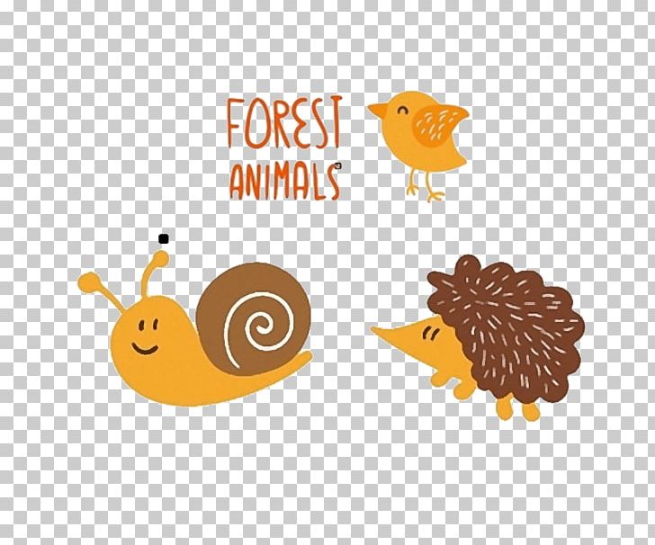 Hedgehog Bird Duck Snail Orthogastropoda PNG, Clipart, 3d Animation, Animal, Animals, Animal Vector, Animation Free PNG Download