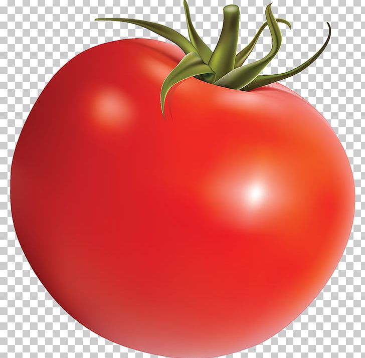 Plum Tomato Bush Tomato Pizza Tomato Soup PNG, Clipart, Appl, Brunch, Bush Tomato, Calorie, Diet Food Free PNG Download