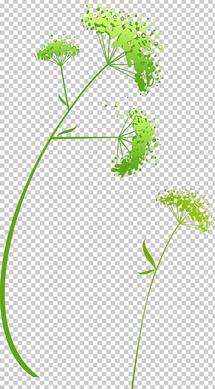 Green Flower PNG, Clipart, Area, Branch, Breath, Dig, Download Free PNG Download