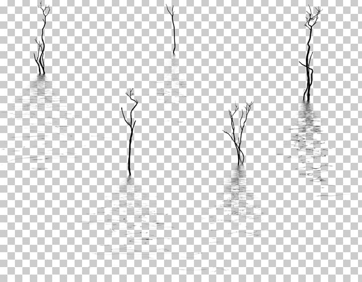 Monochrome Photography Tree PNG, Clipart, Black And White, Branch, Branching, Calm, Monochrome Free PNG Download