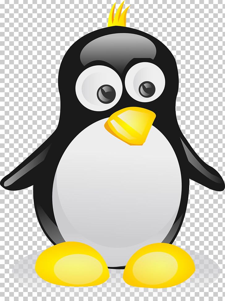 Penguin PNG, Clipart, Animals, Beak, Bird, Blog, Download Free PNG Download