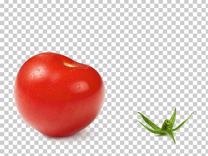 Plum Tomato Bush Tomato Cherry Tomato Hamburger Food PNG, Clipart, Acerola Family, Cherry, Cherry Tomato, Cranberry, Diet Food Free PNG Download