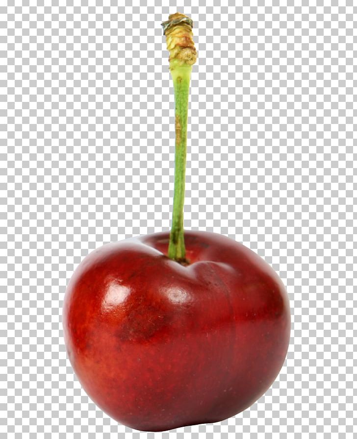 Cherry Fruit Apple PNG, Clipart, Accessory Fruit, Apple, Berry, Cherry, Download Free PNG Download