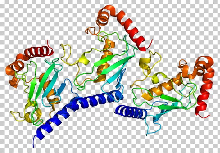 UBE2G2 Protein Ubiquitin-activating Enzyme Gene Ubiquitin-conjugating Enzyme PNG, Clipart, 2 G, Area, Artwork, English, Enzyme Free PNG Download