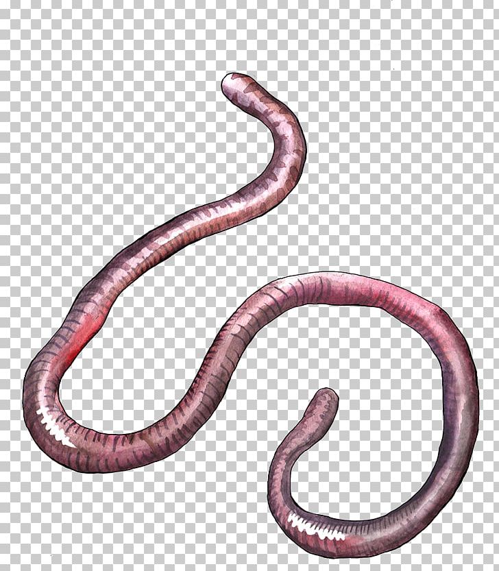 Worms PNG, Clipart, Worms Free PNG Download