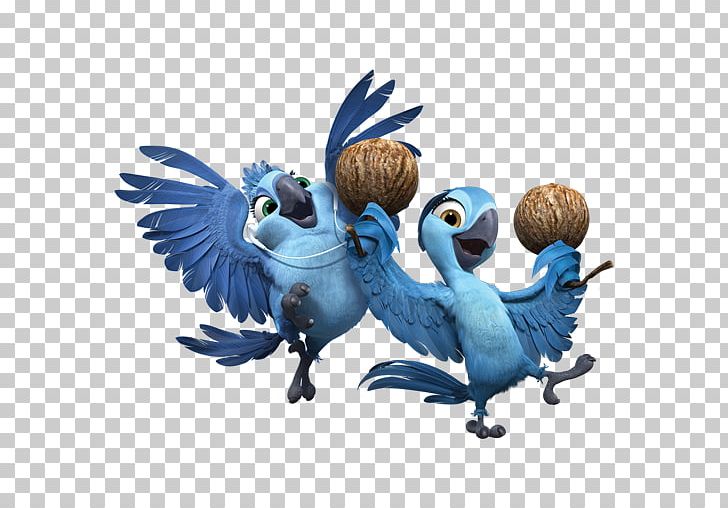 Parrot Wing Bird Of Prey Beak Illustration PNG, Clipart, Anne Hathaway, Beak, Bia, Bird, Bird Of Prey Free PNG Download