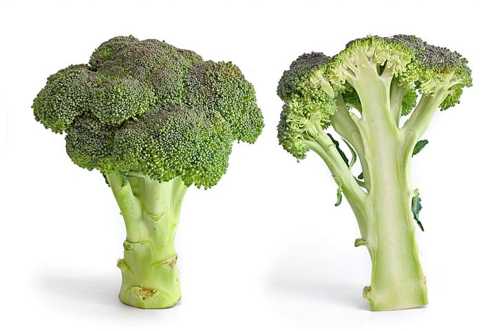 Broccoli Slaw Cabbage Italian Cuisine Vegetable PNG, Clipart, Brassica Oleracea, Broccoli, Broccoli Slaw, Cabbage, Cabbage Family Free PNG Download
