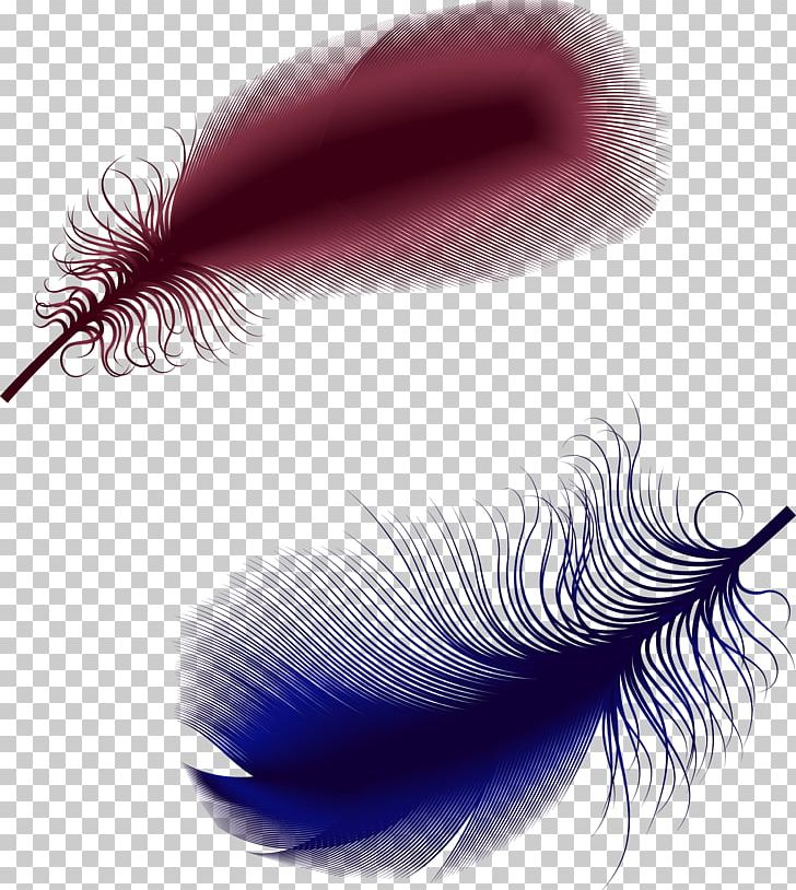 Feather PNG, Clipart, Animal Hair, Animals, Beauty, Blue, Brown Free PNG Download