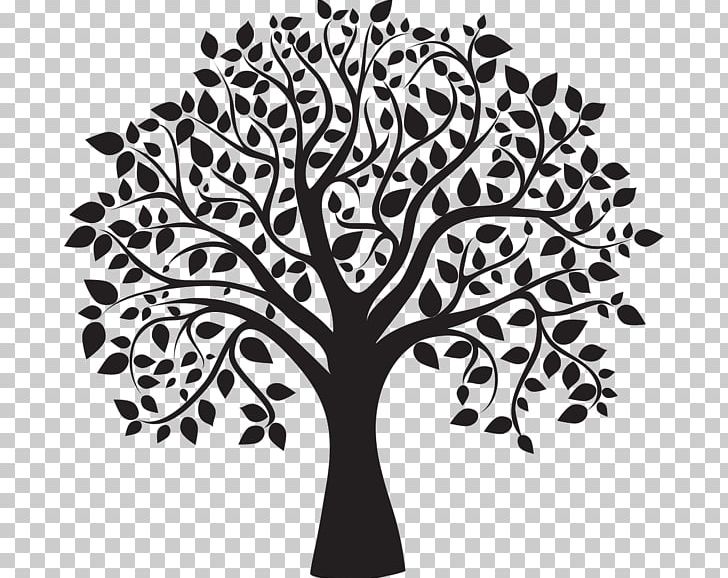 Tree Drawing PNG, Clipart, Aspen, Birch, Black And White, Branch, Clip Art Free PNG Download