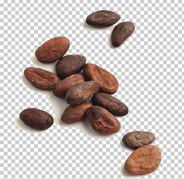 Hot Chocolate Criollo Organic Food Cocoa Bean Cocoa Solids PNG, Clipart, Baking Chocolate, Bean, Cappuccino, Chocolate, Cocoa Bean Free PNG Download