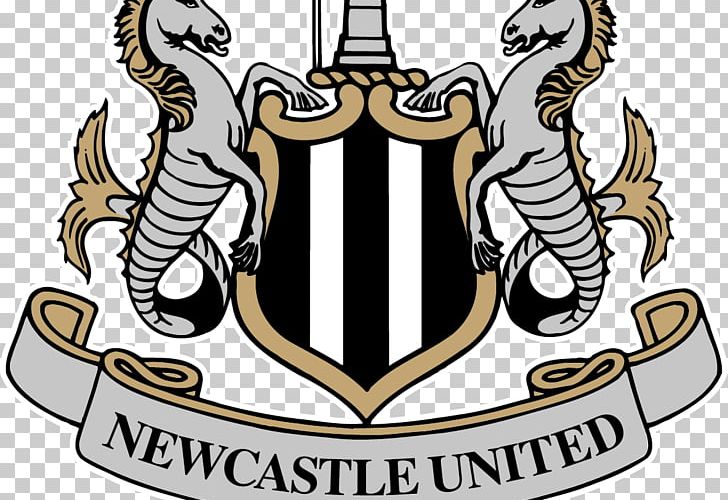 Newcastle United F.C. St James' Park Premier League English Football League EFL Championship PNG, Clipart,  Free PNG Download