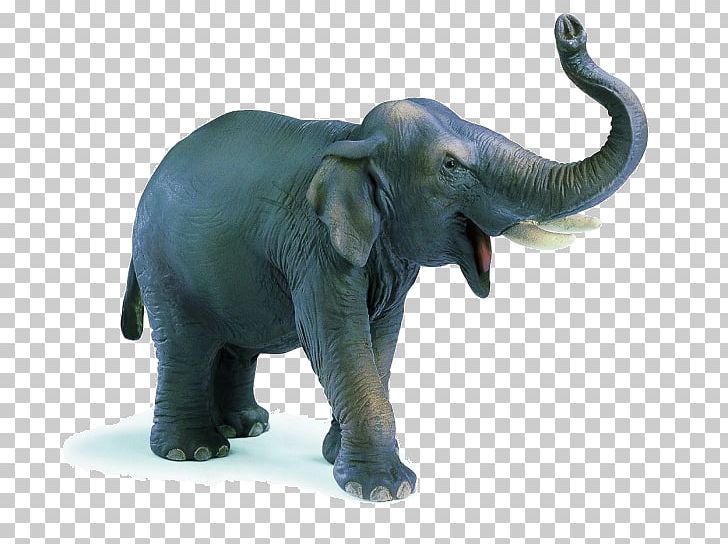 African Elephant Indian Elephant Schleich PNG, Clipart, Animal Figure, Animal Figurine, Animals, Asian Elephant, Elephant Free PNG Download