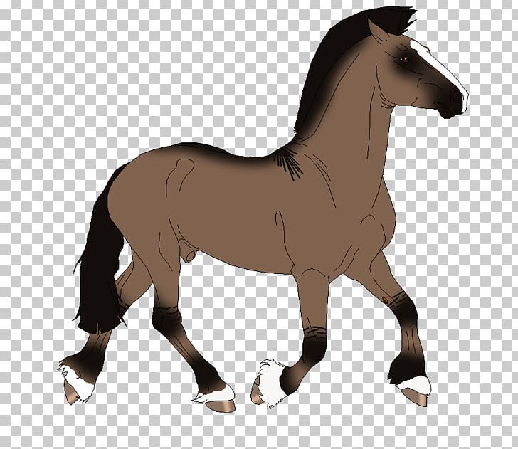 Mustang Mare Foal Stallion Rein PNG, Clipart,  Free PNG Download