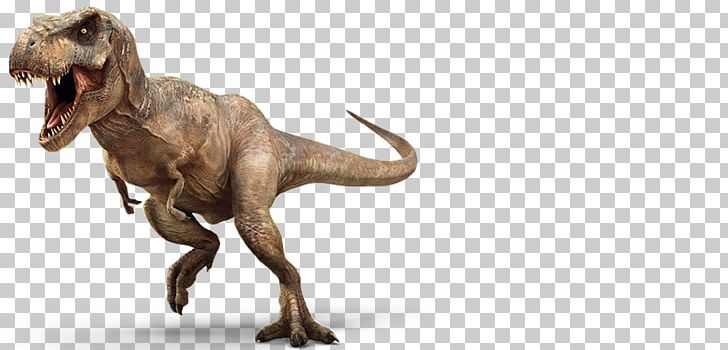 Tyrannosaurus Velociraptor Jurassic Park: The Game Triceratops PNG, Clipart, Animal Figure, Dinosaur, Extinction, Film, Indominus Rex Free PNG Download