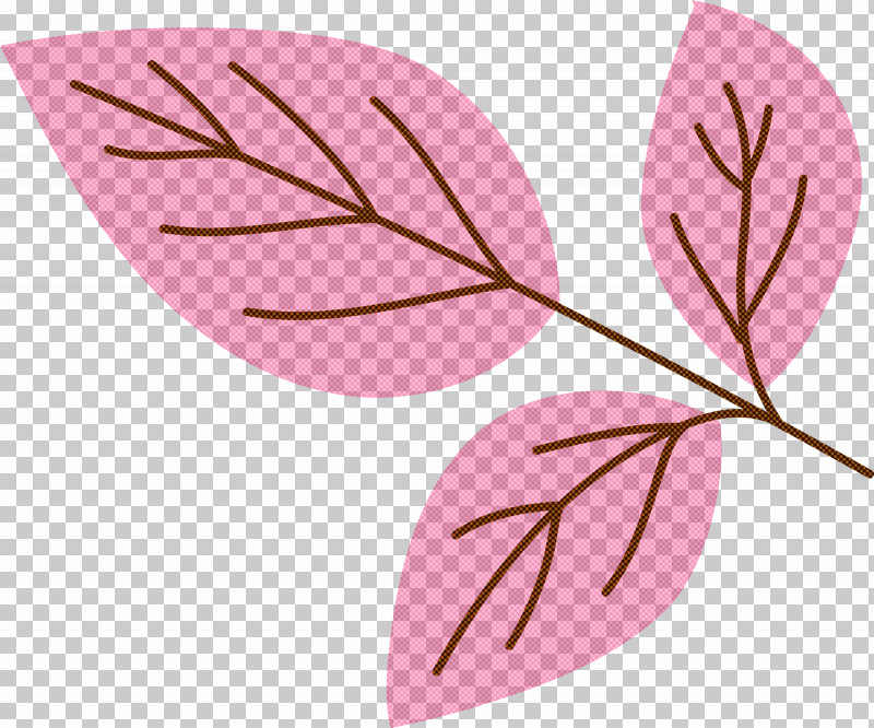 Petal Leaf Plants Plant Structure Biology PNG, Clipart, Biology, Leaf, Petal, Plants, Plant Structure Free PNG Download