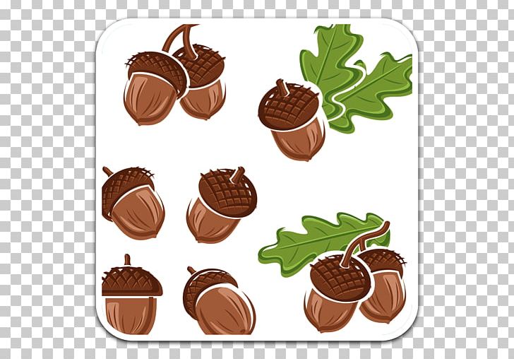 Acorn Oak PNG, Clipart, Acorn, Chocolate, Depositphotos, Dessert, Flavor Free PNG Download