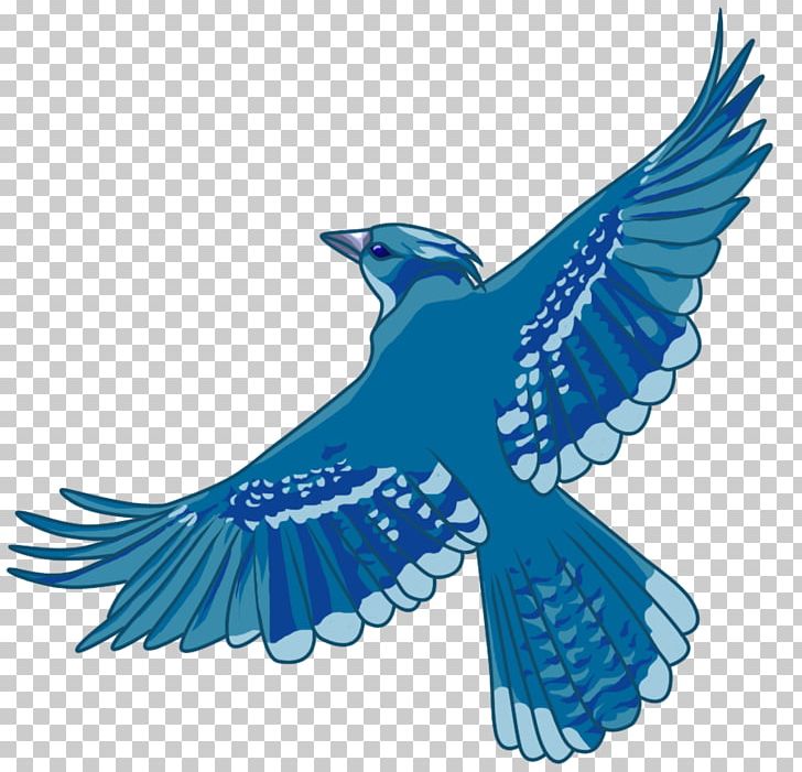 Beak Bird Of Prey Cobalt Blue Feather PNG, Clipart, Animals, Beak, Bird, Bird Of Prey, Blue Free PNG Download