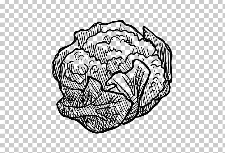 Black And White Vegetable Drawing Pencil Sketch PNG, Clipart, Arm, Art, Artwork, Black, Cauliflower Free PNG Download