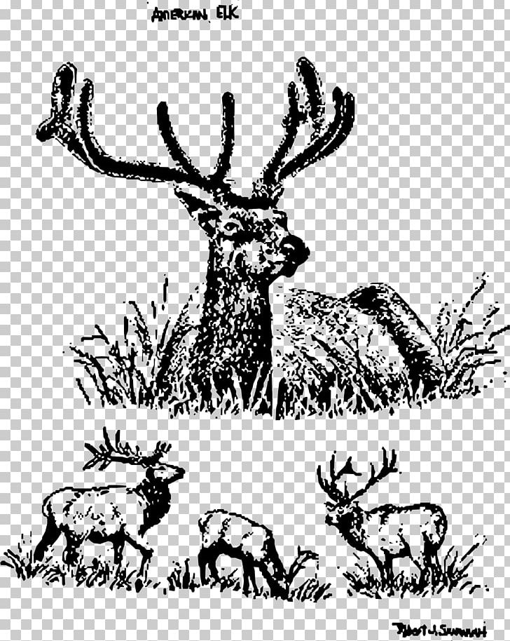 Elk Reindeer United States PNG, Clipart, American, Antler, Art, Black And White, Branch Free PNG Download