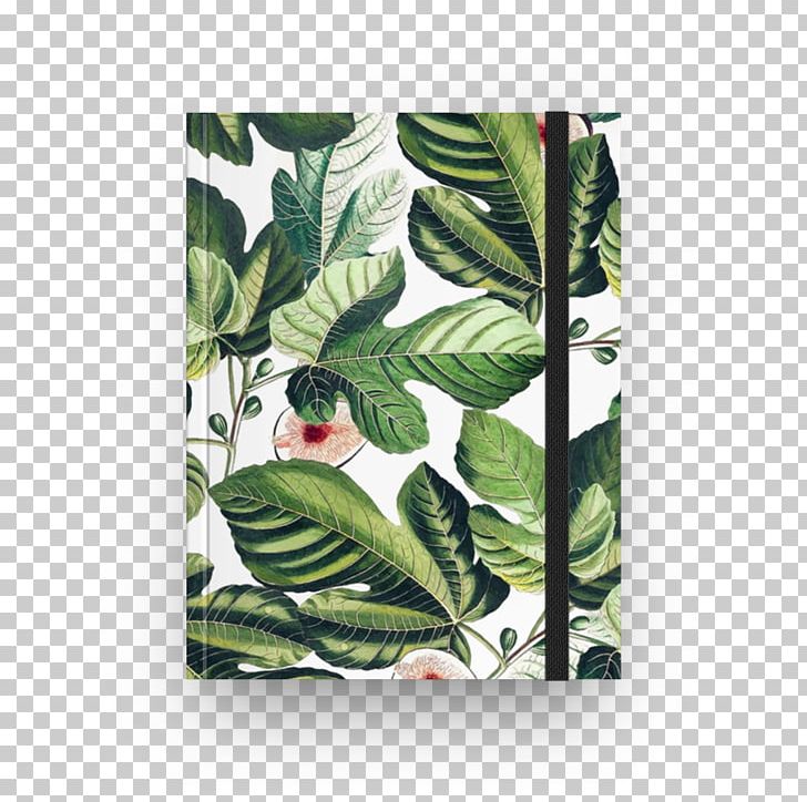 Banana Leaf Green Plant Stem Zazzle PNG, Clipart, Banana, Banana Leaf, Fig Watercolor, Fruit Nut, Green Free PNG Download