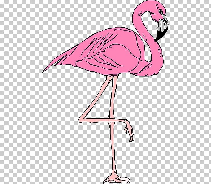 Flamingo T-shirt PNG, Clipart, Beak, Bird, Crane Like Bird, Download, Flamingo Free PNG Download